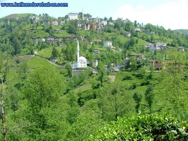 Tohli ( Soğukus Mah )  Camii Vakfı