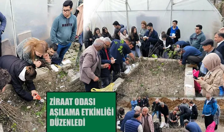 Ziraat Odası Aşılama Eğitimi Düzenledi