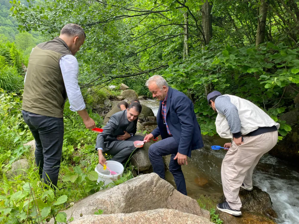 Milli Parklardan İkizdere’de Derelere Alabalık Yavrusu Bırakıldı
